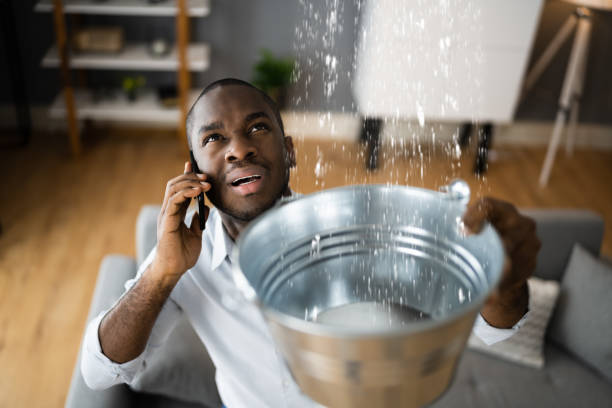 Best Water damage restoration near me  in Raymond, WI