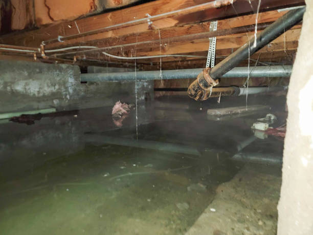 Best Water damage cleanup near me  in Raymond, WI
