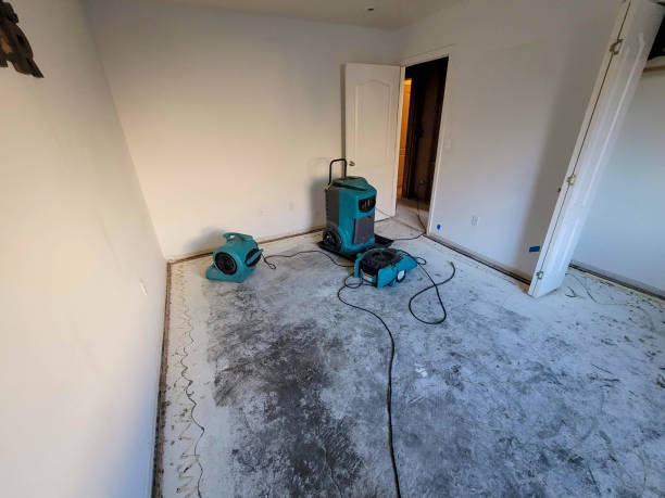 Best 24-hour water damage restoration  in Raymond, WI