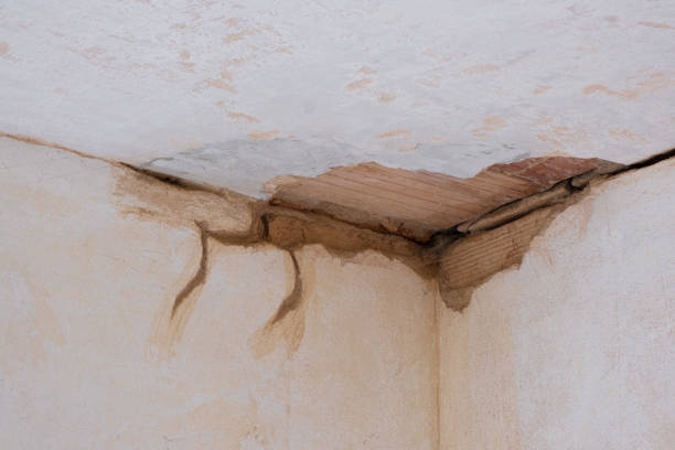 Best Water damage cleanup near me  in Raymond, WI