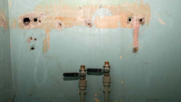 Best Water damage restoration services  in Raymond, WI