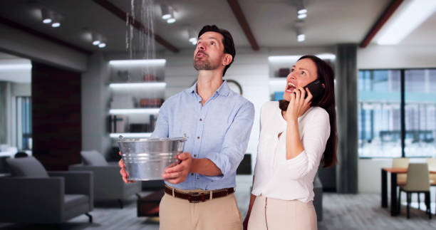 Best Water damage contractors near me  in Raymond, WI