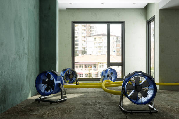 Best Residential water damage restoration  in Raymond, WI