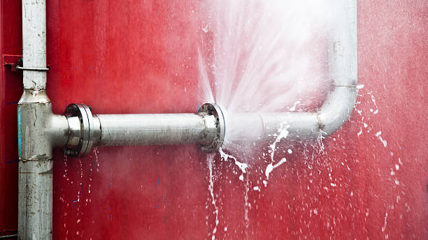 Best Flood restoration services  in Raymond, WI