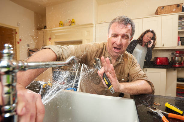 Best Fire Damage Restoration  in Raymond, WI